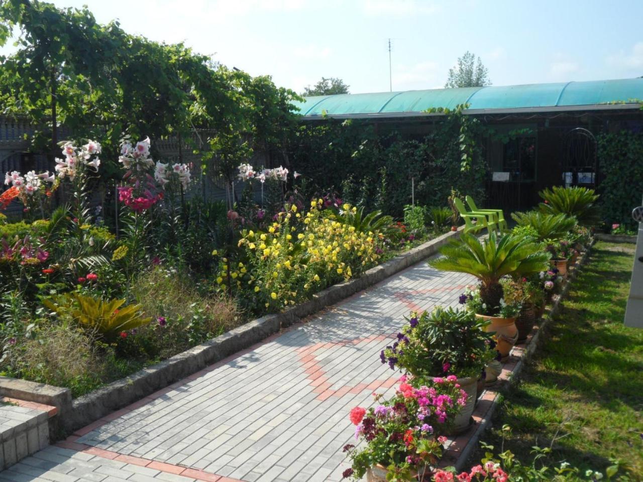 Alakhadze Galina Guest House المظهر الخارجي الصورة